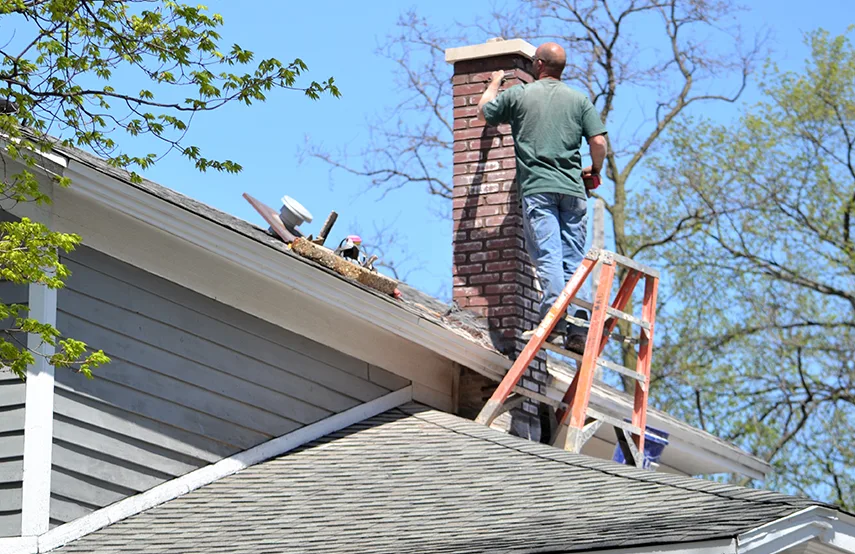 Chimney & Fireplace Inspections Services in Candler-McAfee, GA